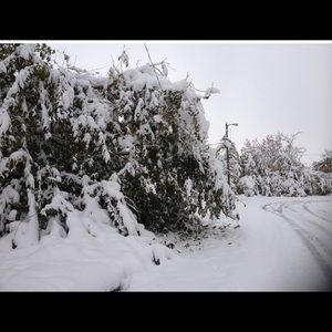 Pics of snow and spring. Some of Duchesne & SLC.